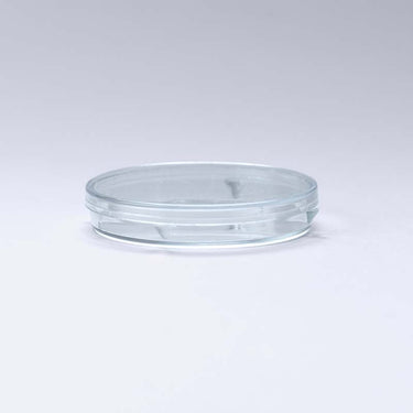 Falcon Petri Dish 50×9 mm